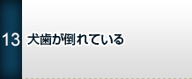 犬歯が倒れている