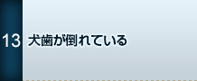 犬歯が倒れている